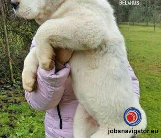 16141663240_603639344a23c