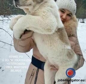 16141663340_6036393e6d4c6