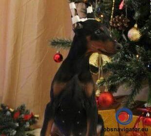 16141663370_60363940f2109