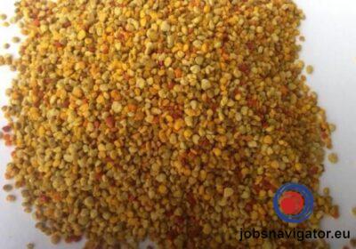 16141663640_6036395c52e86