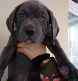 16141663660_6036395ecf37f