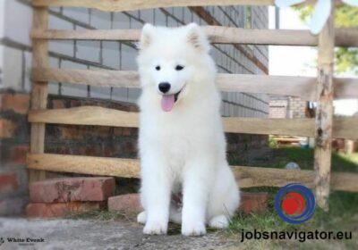 16141663700_60363962c7c18