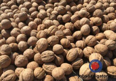 16141664020_6036398225a1f