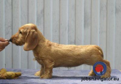 16141664390_603639a7d25fe