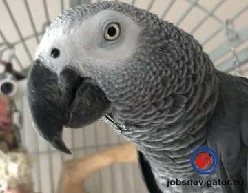 16141664430_603639abe5b80