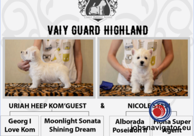 16141664890_603639d97bb99