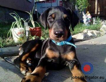 16141665030_603639e745aa6