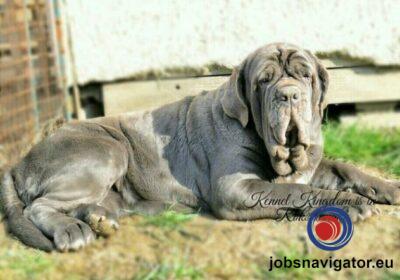 16141665820_60363a361d159