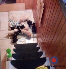 16141666280_60363a647d392