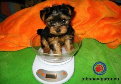 16141666400_60363a7016c81