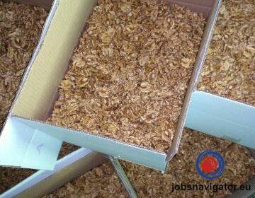 16141666690_60363a8d853dc