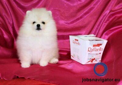 16141666730_60363a91b594b