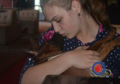 16141666940_60363aa6c9d14