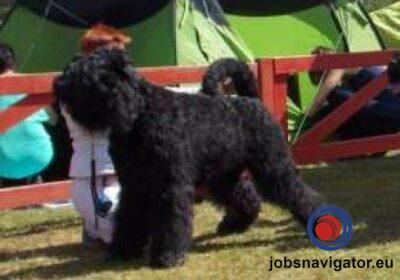 16141667530_60363ae115a0f