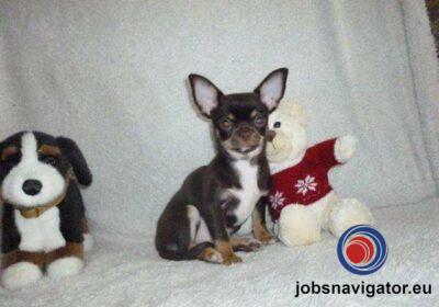 16141667650_60363aed4e21e