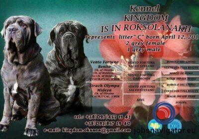 16141667750_60363af74adcd