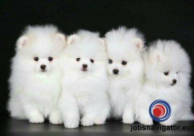 16141668250_60363b2956cb8