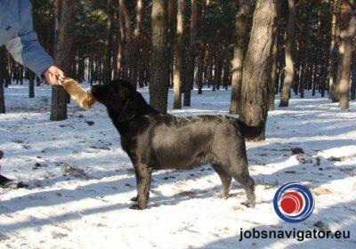 16141668630_60363b4fec71c