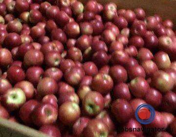 16141668750_60363b5b23150