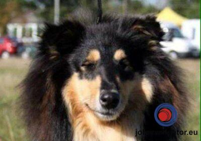 16141669100_60363b7eb8c83