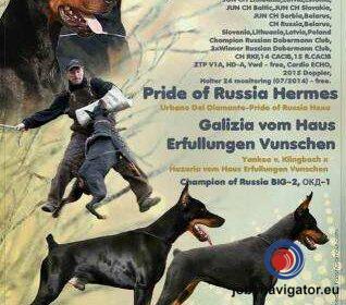 16141669340_60363b96b7979