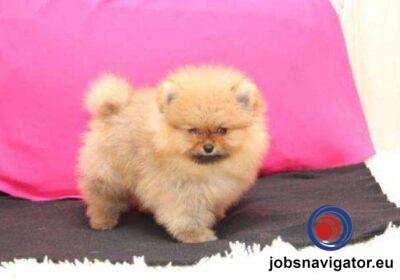 16141669350_60363b97ae2df