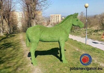 16141675700_60363e124a4af