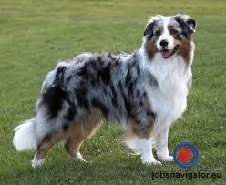 1637509281_619a68a1ed015