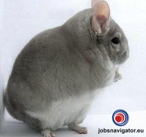 1637511064_619a6f98de714