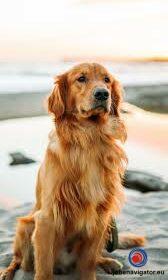 1638536866_61aa16a2c2348