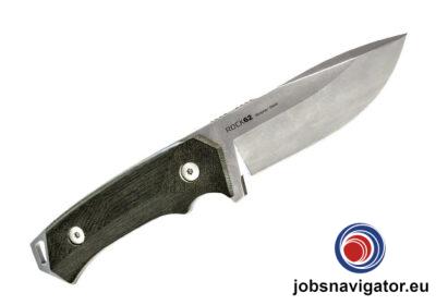 1641669200_61d9e2505d46a